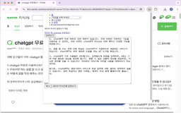Openai API Usage Guide - Chrome Extension