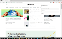 AWS AI Services on Browser - Chrome Extension