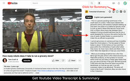 YouTube Summary - Chrome Extension