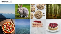 Nyx.gallery