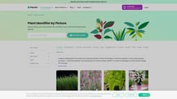 PlantIn plant care identifier