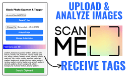 Scanner Tool - Chrome Extension