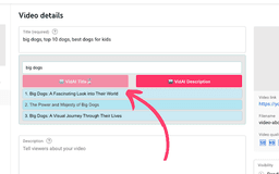 VidAI - Chrome Extension